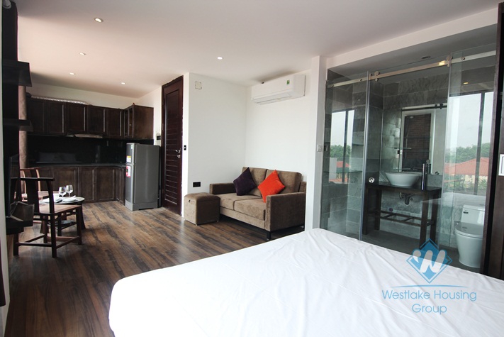 Nice studio with characters for rent in Tay Ho Westlake